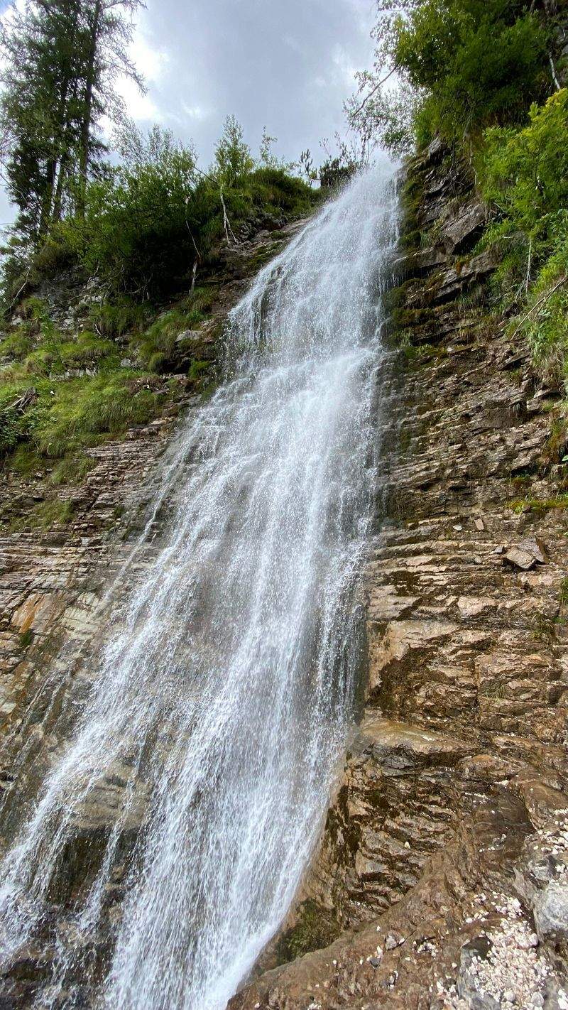 Natura Essenza S.r.l. - Image 4