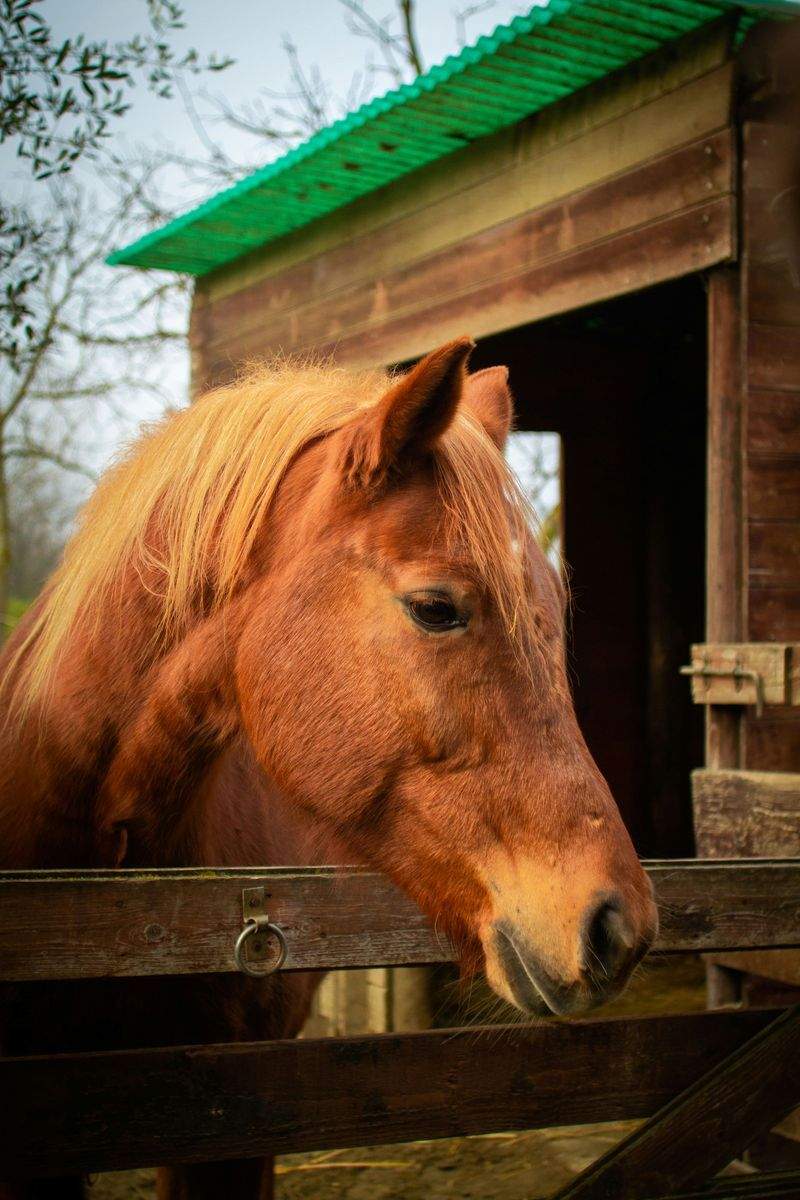 Natura Essenza S.r.l. - Image 5